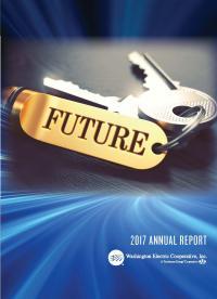 annual report cover